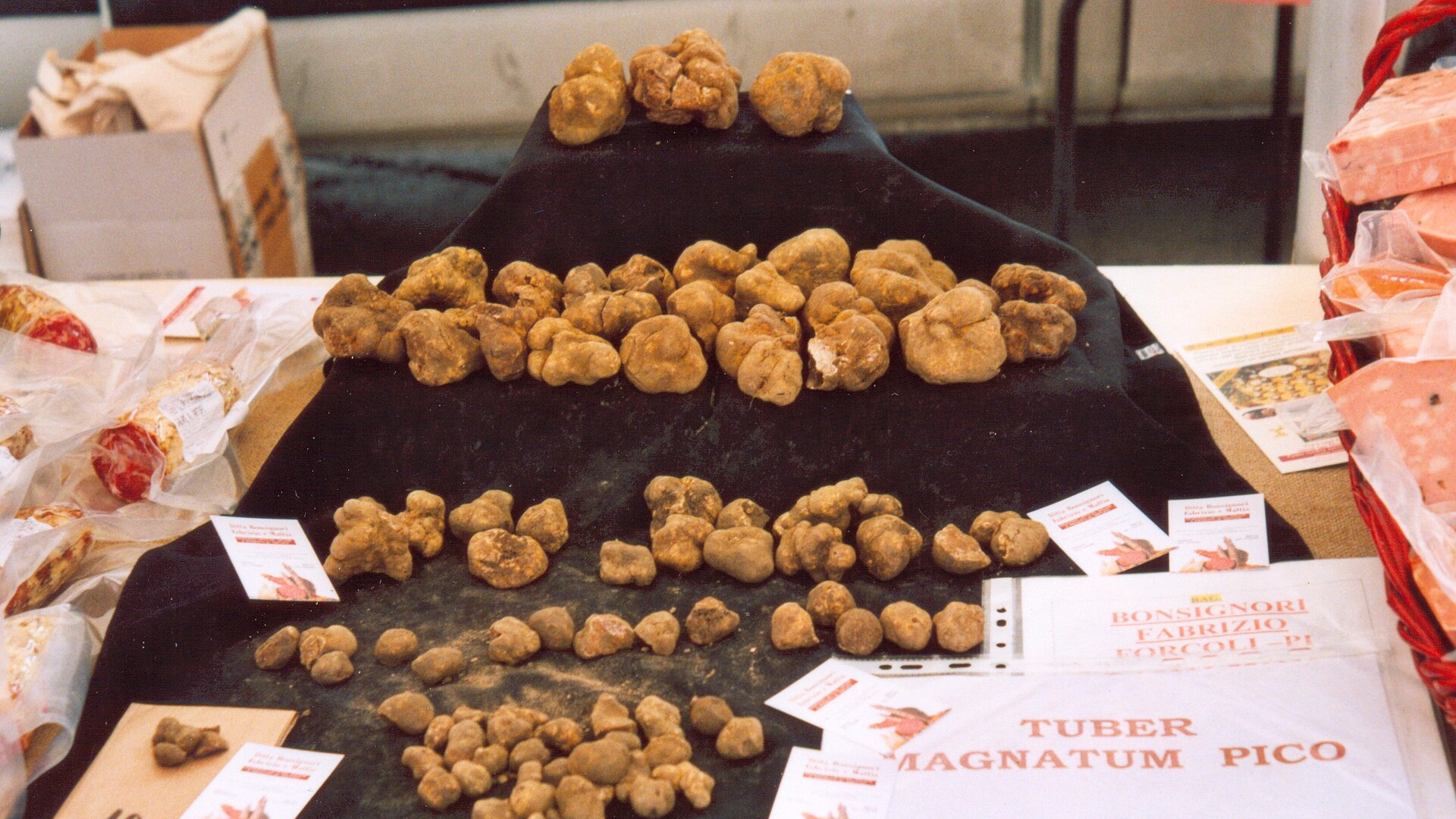Tartufi bianchi esposti sul banco di una fiera del tartufo
